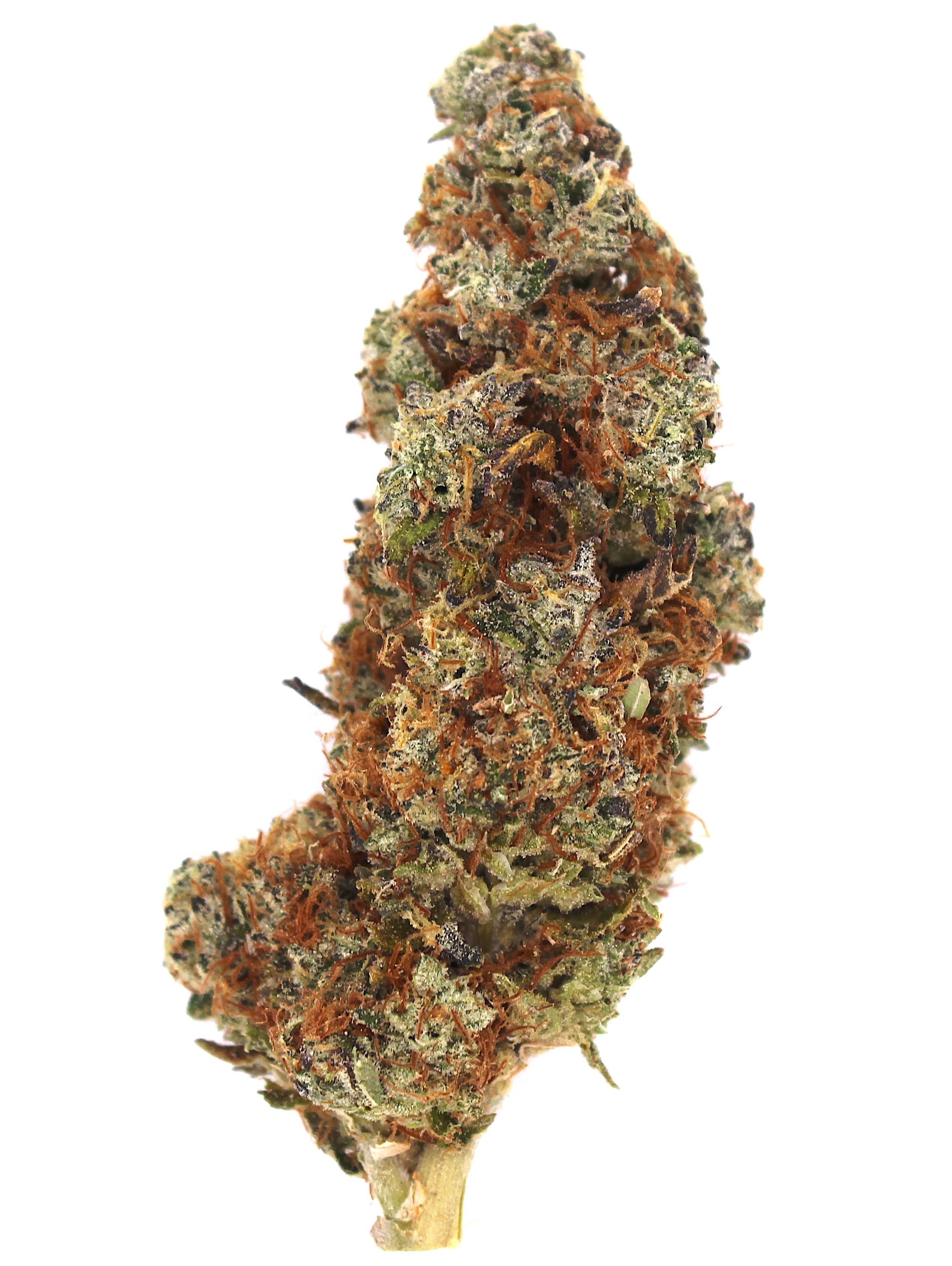 Indoor Flower — White Chocolate Chip thumbnail 2