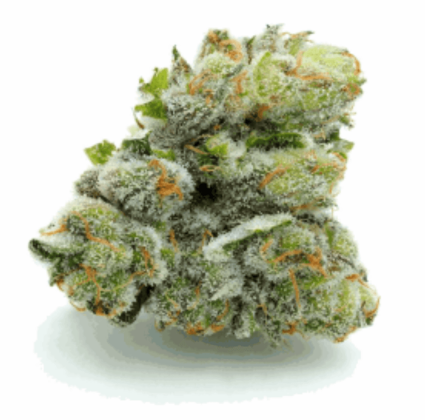 Indoor Flower — Modified Grapes