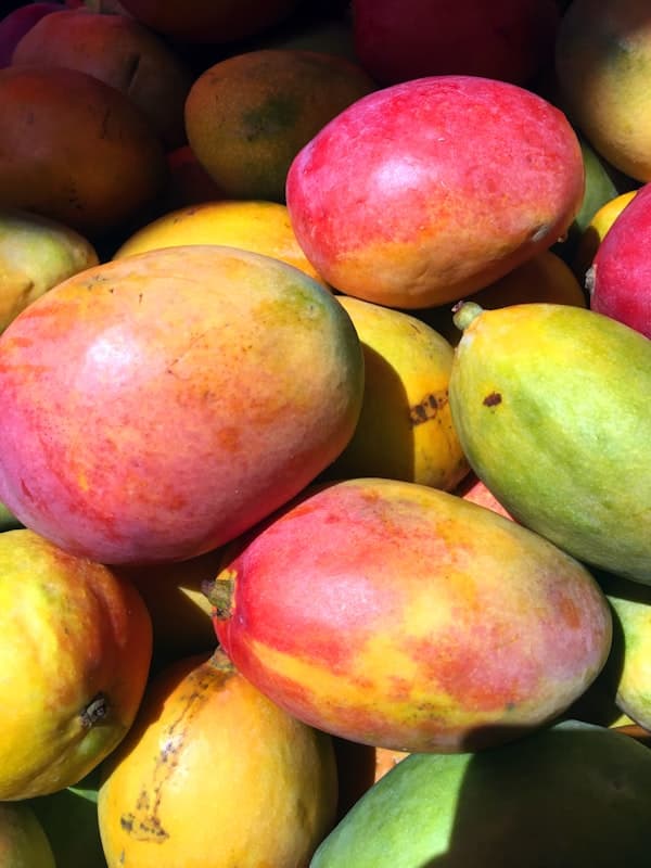 Fresh ripe mangoes