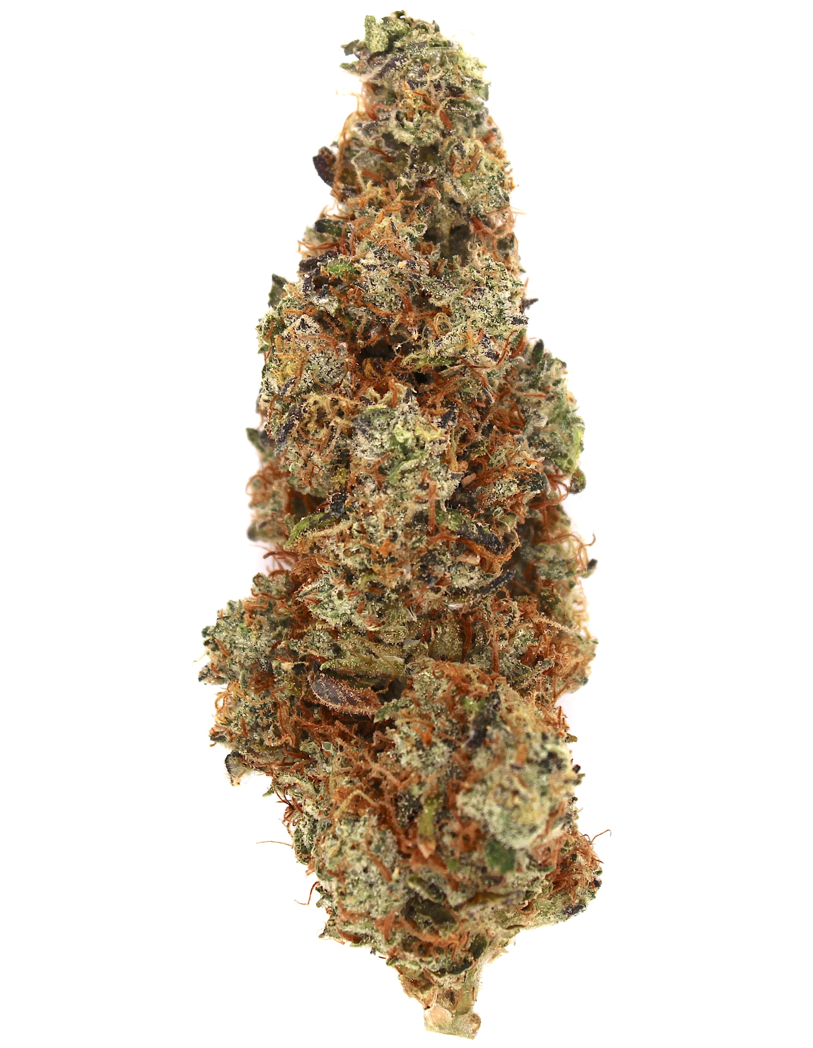 Indoor Flower — White Chocolate Chip