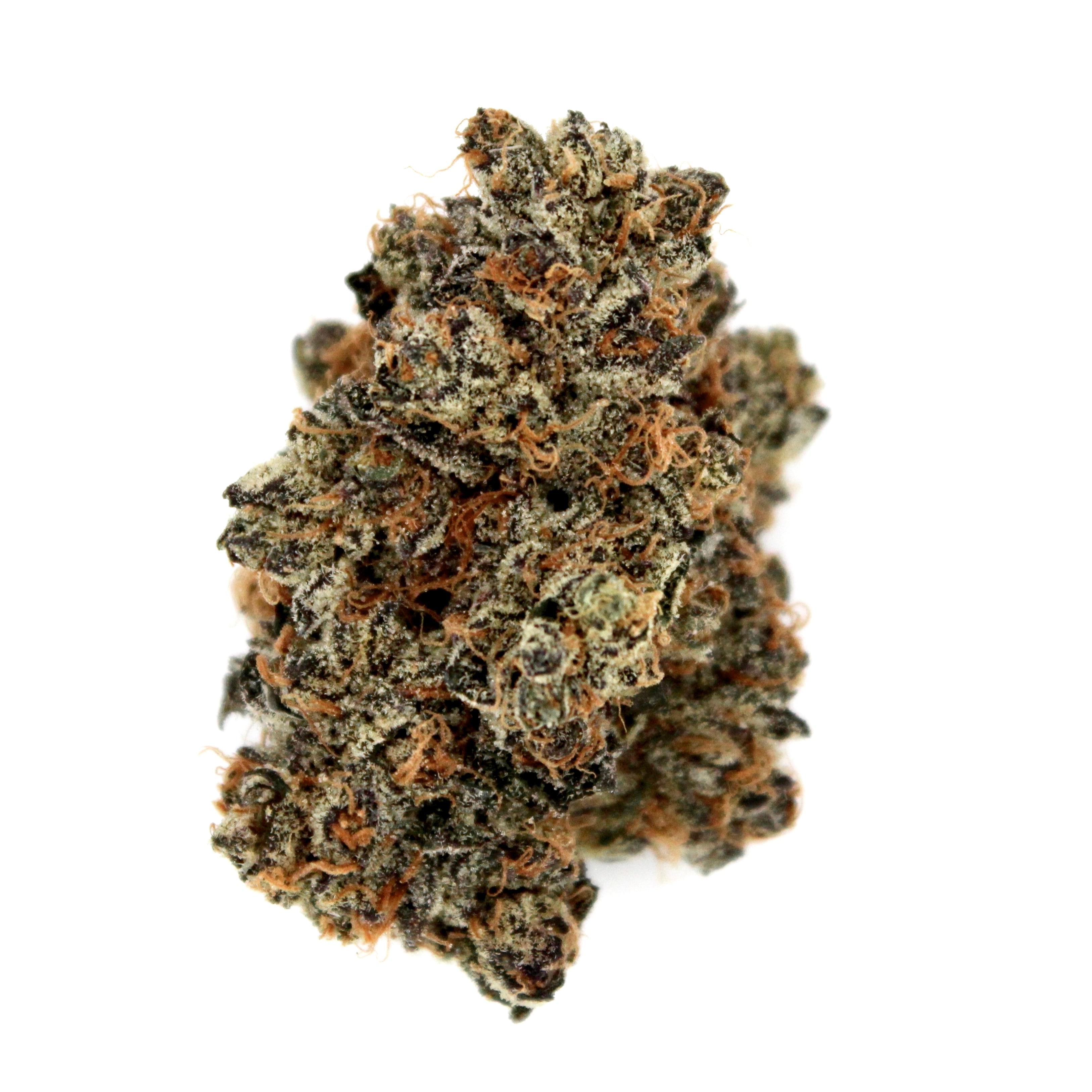 Indoor Flower — Ice Cream Cake Smalls